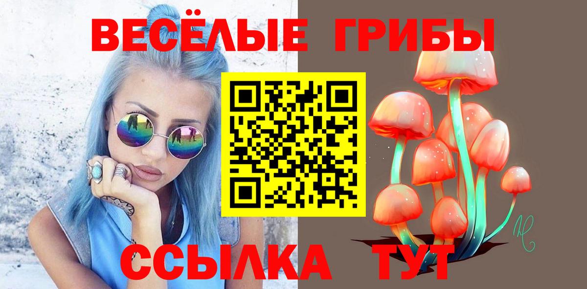 купить наркоту  Вход с VPN  Ефремов  Псилоцибиновые грибы MAGIC MUSHROOMS 
